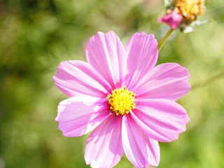 11F00980-2F0C-41CB-9DB8-D99132E45CB7/L0/001