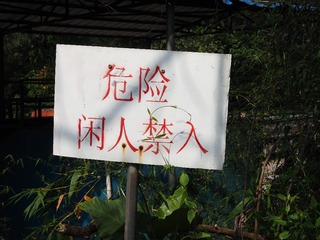 92428D92-E87C-449E-AB9F-FA9ED2519D17/L0/001