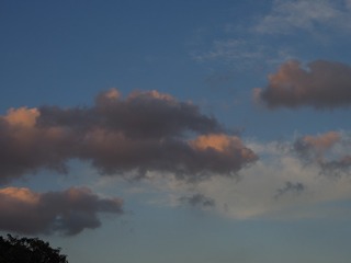 8768553A-5CF4-46C6-84FF-5F815223C8EE/L0/001
