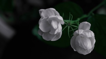 D5BF32AA-3213-4C66-9D55-4D9EE0A874B6/L0/001