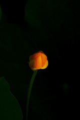 1704568