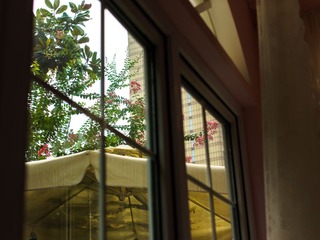 20130829-_DSC0506
