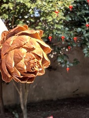E0097562-9E65-474B-81DC-670D2561AAB9/L0/001