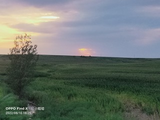 1435002