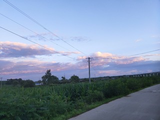 1433453