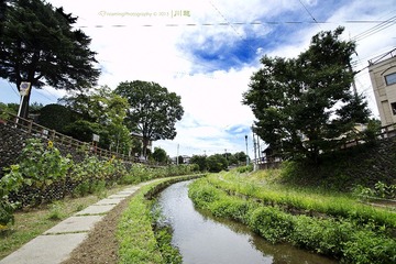 DSC_9278 副本.jpg