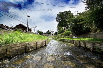 DSC_92972.jpg