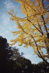 18AB2F45-F348-499A-9A25-95D7C222B08B/L0/001
