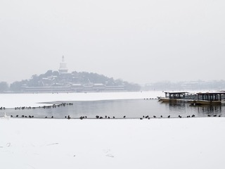 P1207550