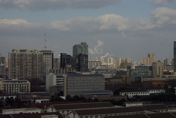 IMGP8569.JPG