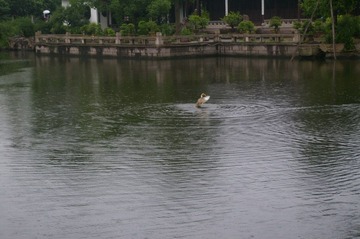 IMGP9359.JPG