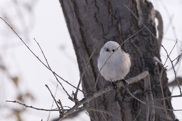 60791