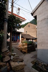 DSC01635.jpg