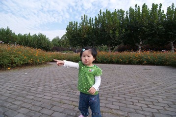 DSC02833.jpg