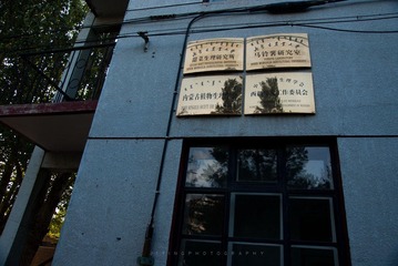 DSC03195.jpg