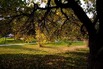 DSC03213.jpg
