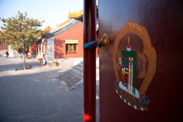 DSC03222.jpg