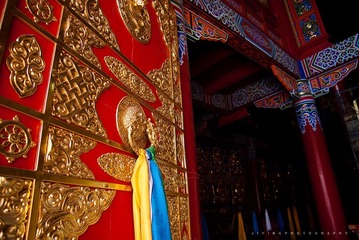 DSC03254.jpg