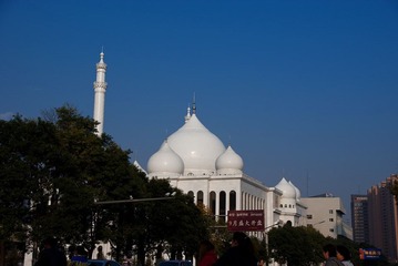 DSC03272.jpg