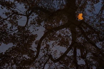 DSC03543.jpg