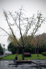 DSC03530.jpg