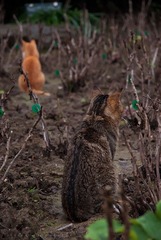 DSC03595.jpg
