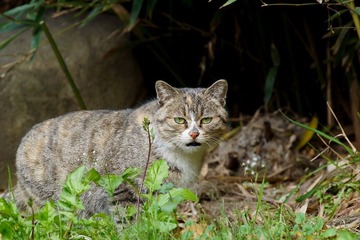 DSC01575.jpg