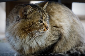 DSC01588.jpg