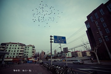 DSC01879.jpg