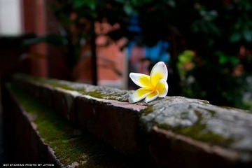 DSC06030.jpg