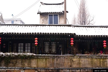 DSC03484.jpg