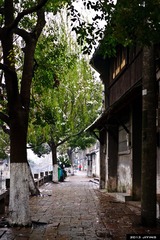 DSC03493.jpg