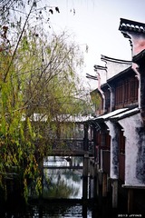 DSC03569.jpg