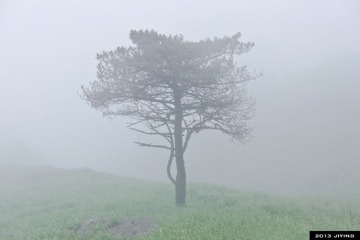 CIMG9595.jpg