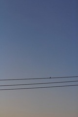 IMG_1022.JPG