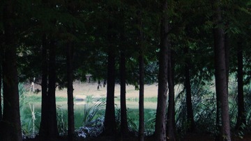 201227