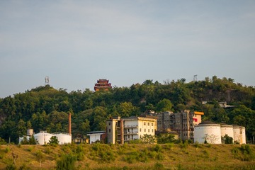 47874