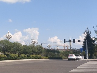 20006