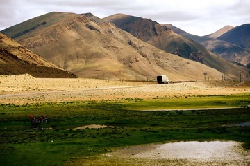 DSC_4833.jpg