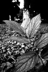 R0012679