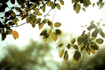 DSC_1877-2