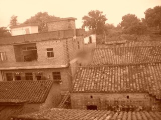 DSCN7809.JPG