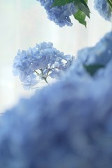 E55E4623-61C8-4380-80E8-21CA4C293BF3/L0/001