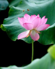 DSC04250.JPG