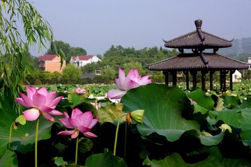DSC04294.JPG
