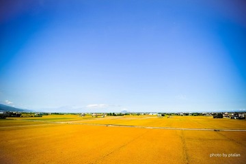 DSC_5841.jpg