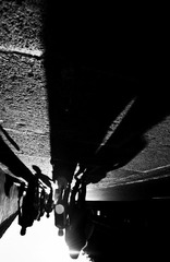 DSC_1557.jpg