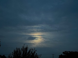 5FF831CA-CF67-42A7-8C44-46701C63E6E6/L0/001