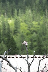 A26409D8-74A0-4B87-8E06-392F079C9BB5/L0/001