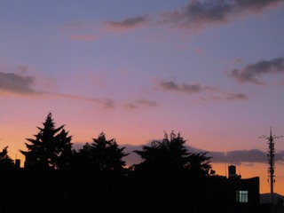 CD53043B-7E58-422B-84C9-2EAFBCEB2FCB/L0/001